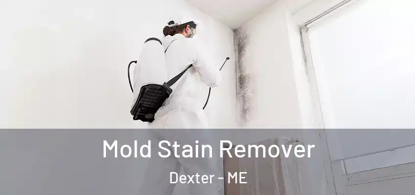Mold Stain Remover Dexter - ME