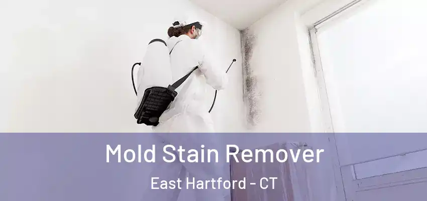 Mold Stain Remover East Hartford - CT