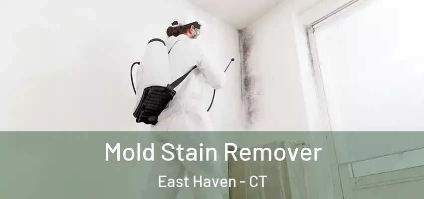 Mold Stain Remover East Haven - CT