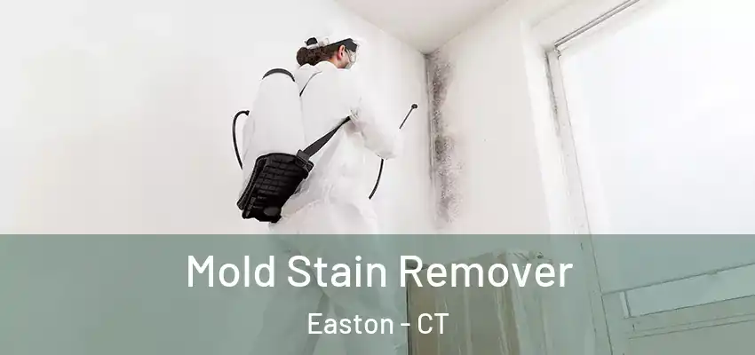  Mold Stain Remover Easton - CT