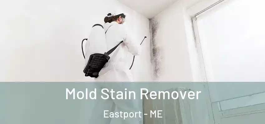  Mold Stain Remover Eastport - ME