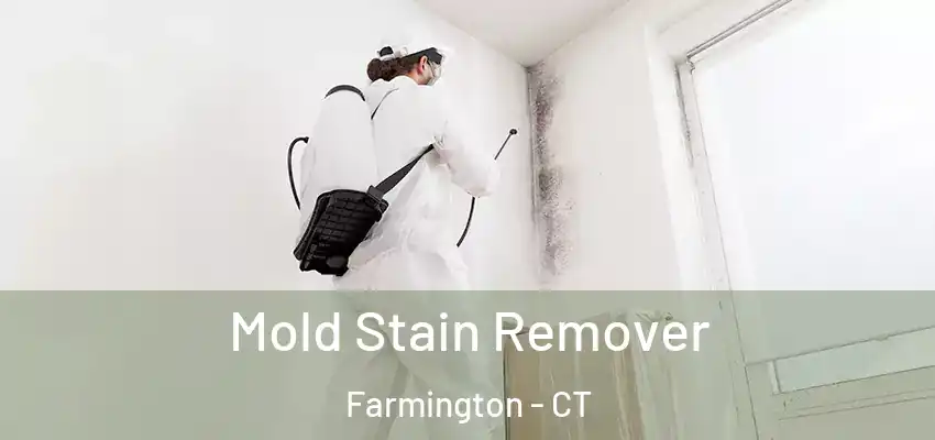 Mold Stain Remover Farmington - CT