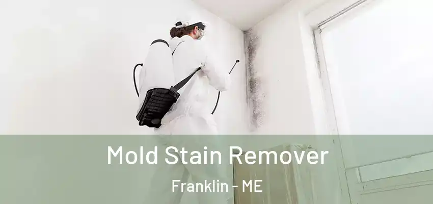  Mold Stain Remover Franklin - ME