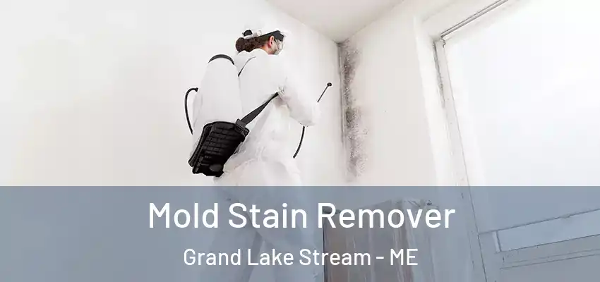  Mold Stain Remover Grand Lake Stream - ME