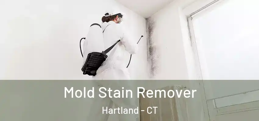  Mold Stain Remover Hartland - CT