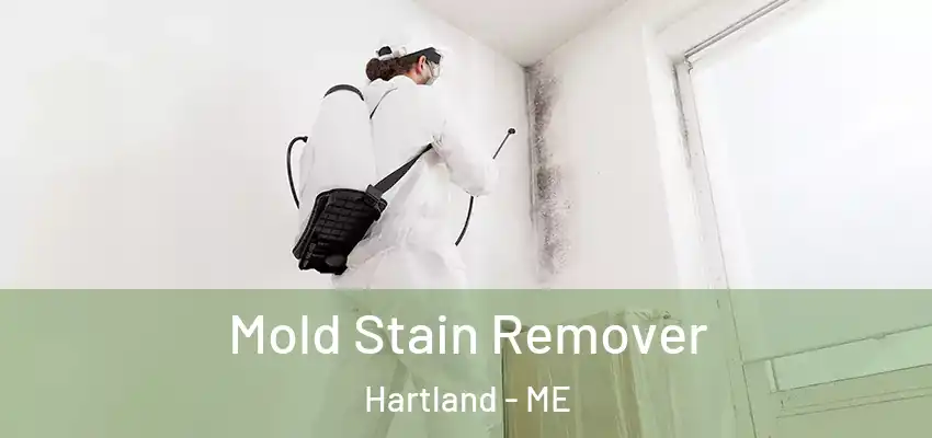 Mold Stain Remover Hartland - ME