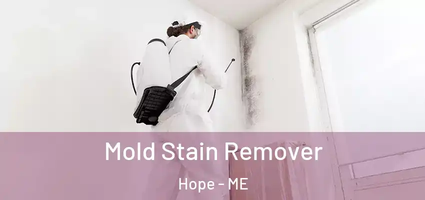 Mold Stain Remover Hope - ME