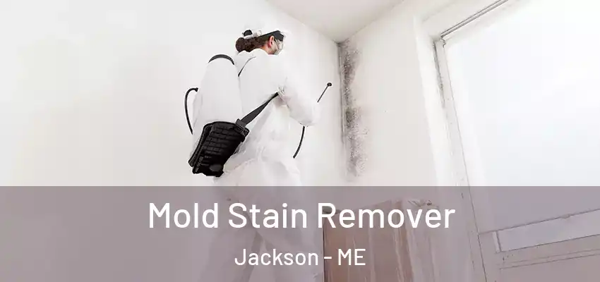 Mold Stain Remover Jackson - ME