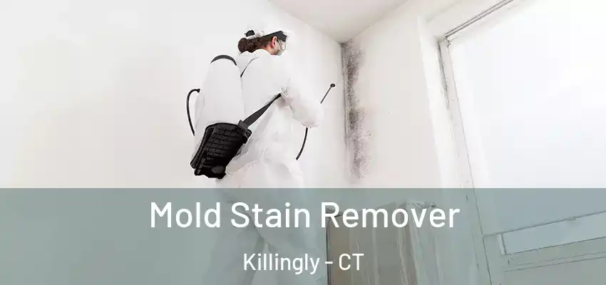 Mold Stain Remover Killingly - CT