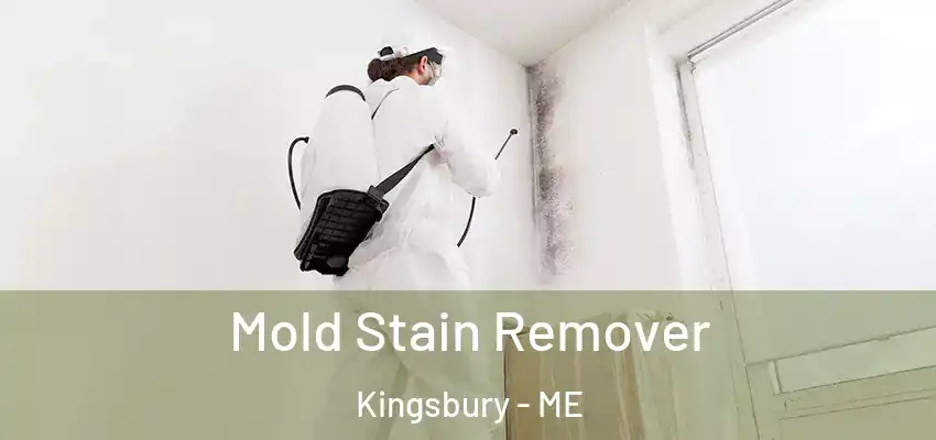  Mold Stain Remover Kingsbury - ME