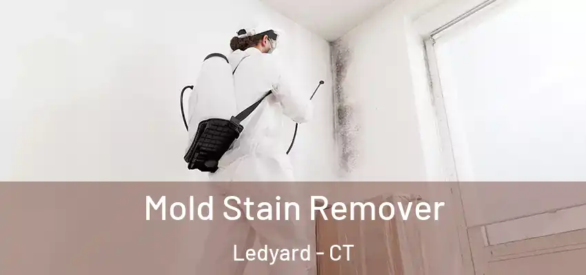 Mold Stain Remover Ledyard - CT