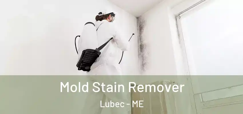  Mold Stain Remover Lubec - ME
