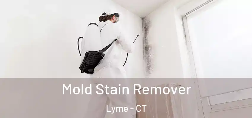 Mold Stain Remover Lyme - CT
