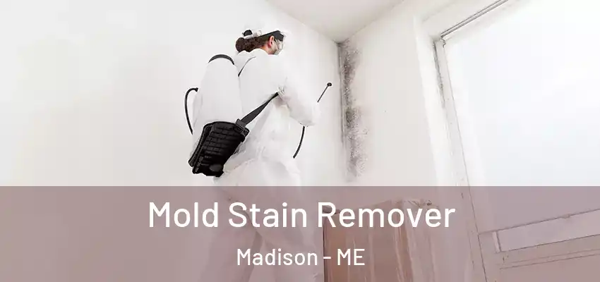 Mold Stain Remover Madison - ME