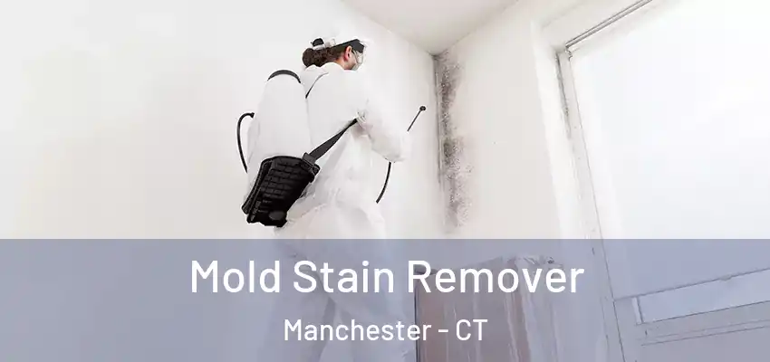 Mold Stain Remover Manchester - CT