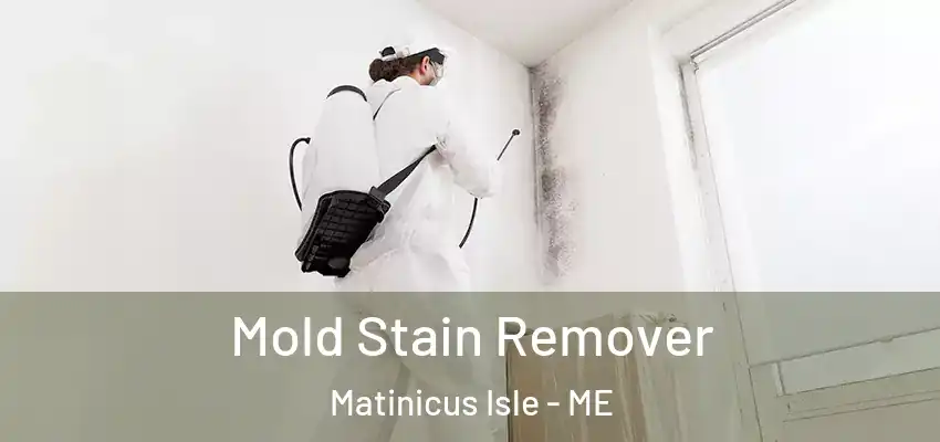 Mold Stain Remover Matinicus Isle - ME