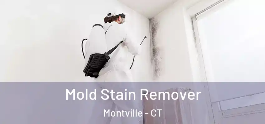 Mold Stain Remover Montville - CT