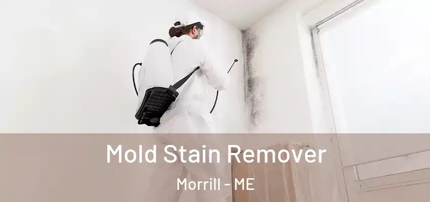 Mold Stain Remover Morrill - ME