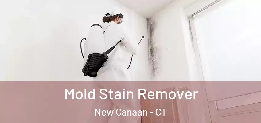 Mold Stain Remover New Canaan - CT