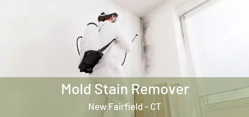  Mold Stain Remover New Fairfield - CT