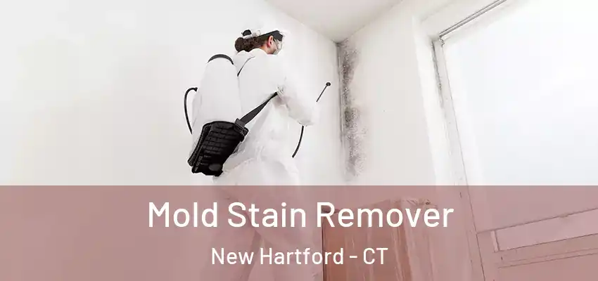  Mold Stain Remover New Hartford - CT