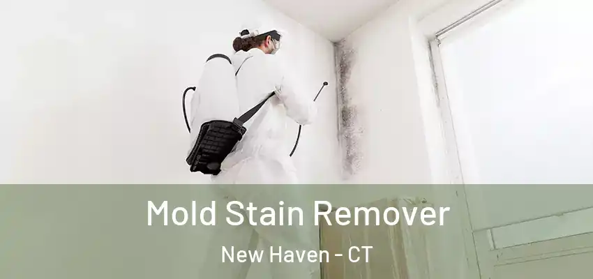 Mold Stain Remover New Haven - CT