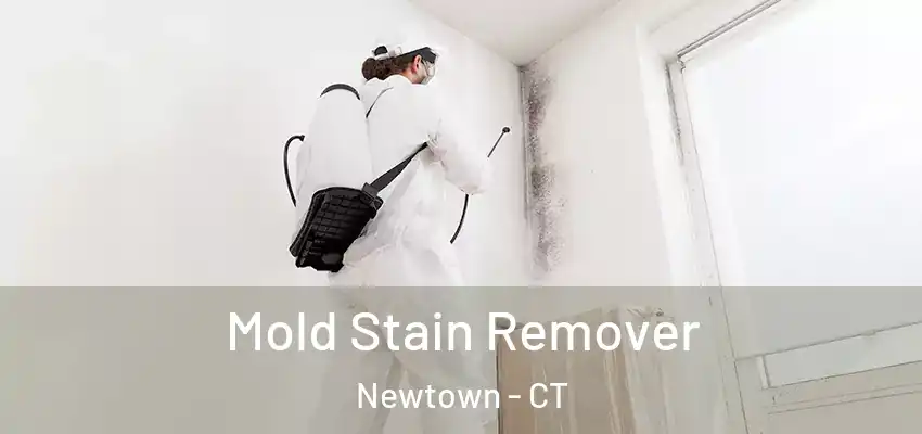 Mold Stain Remover Newtown - CT