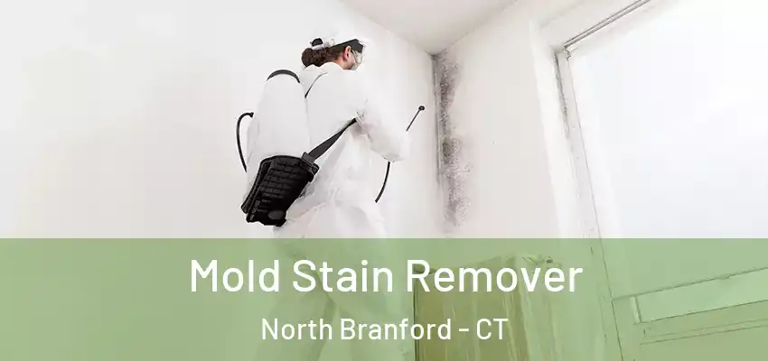 Mold Stain Remover North Branford - CT