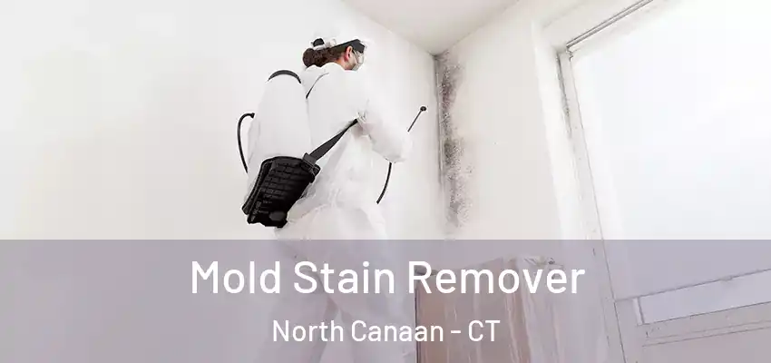  Mold Stain Remover North Canaan - CT