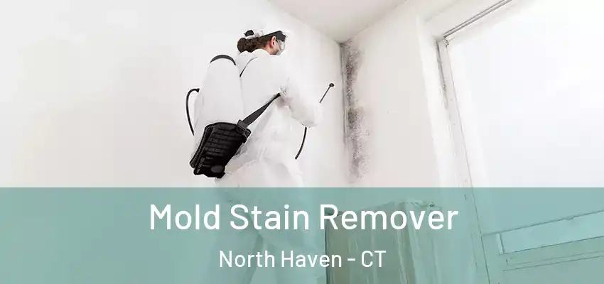 Mold Stain Remover North Haven - CT