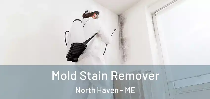  Mold Stain Remover North Haven - ME