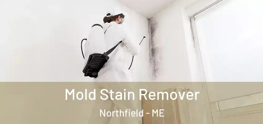 Mold Stain Remover Northfield - ME