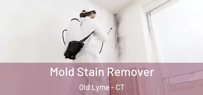 Mold Stain Remover Old Lyme - CT