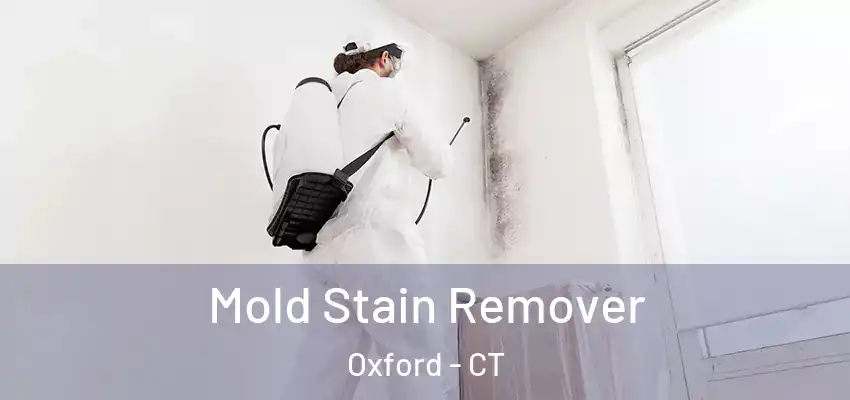 Mold Stain Remover Oxford - CT