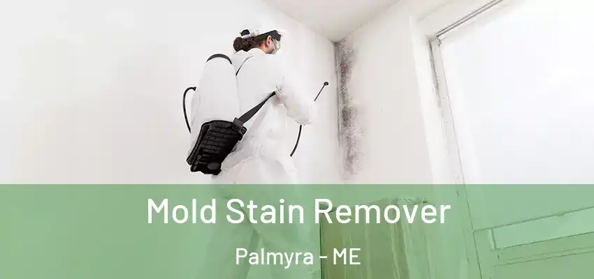 Mold Stain Remover Palmyra - ME