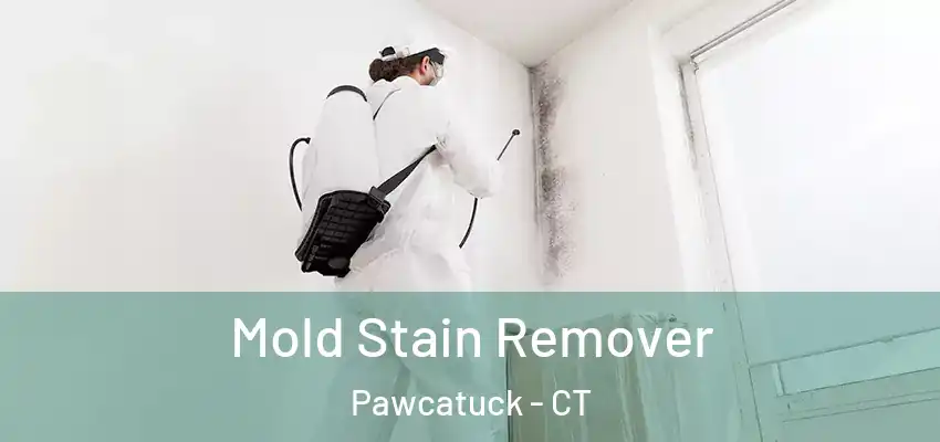  Mold Stain Remover Pawcatuck - CT