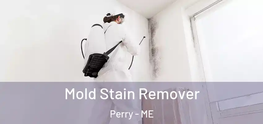 Mold Stain Remover Perry - ME