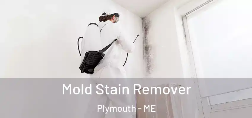  Mold Stain Remover Plymouth - ME