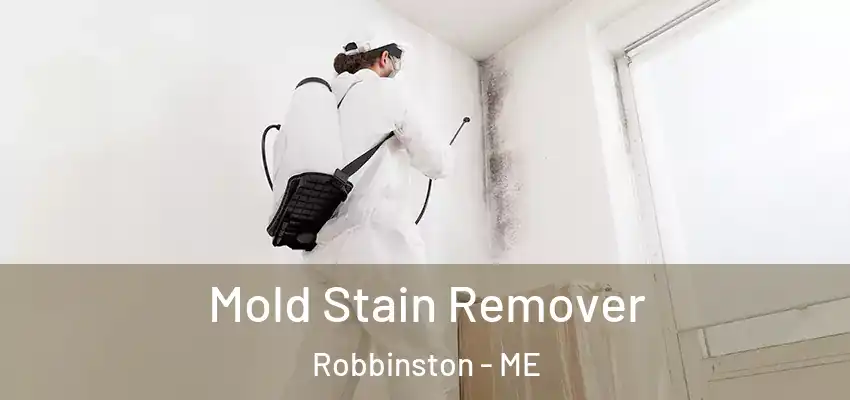 Mold Stain Remover Robbinston - ME
