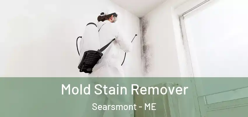 Mold Stain Remover Searsmont - ME