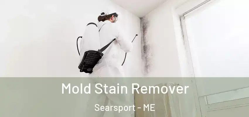 Mold Stain Remover Searsport - ME