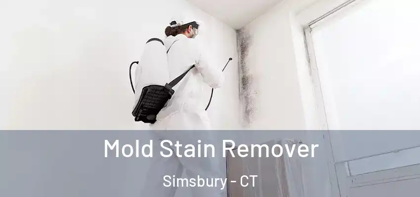 Mold Stain Remover Simsbury - CT
