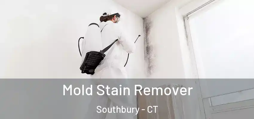 Mold Stain Remover Southbury - CT