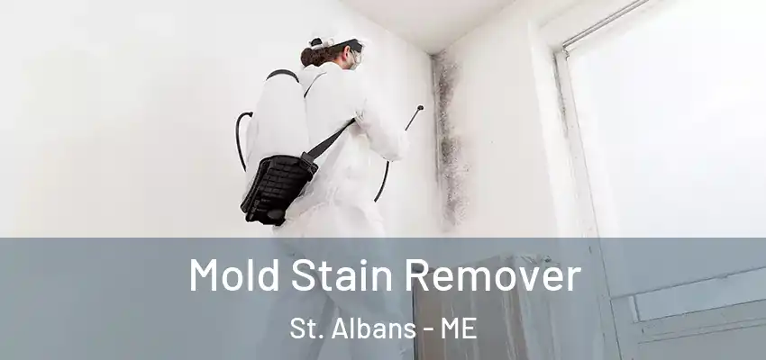  Mold Stain Remover St. Albans - ME