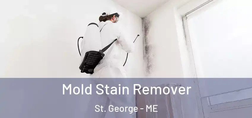  Mold Stain Remover St. George - ME