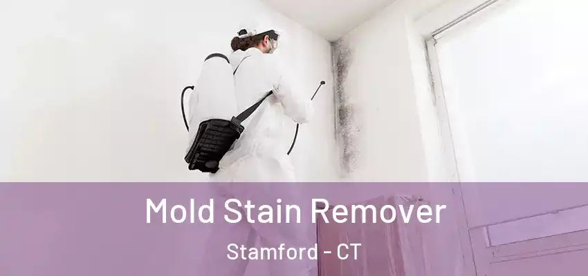  Mold Stain Remover Stamford - CT