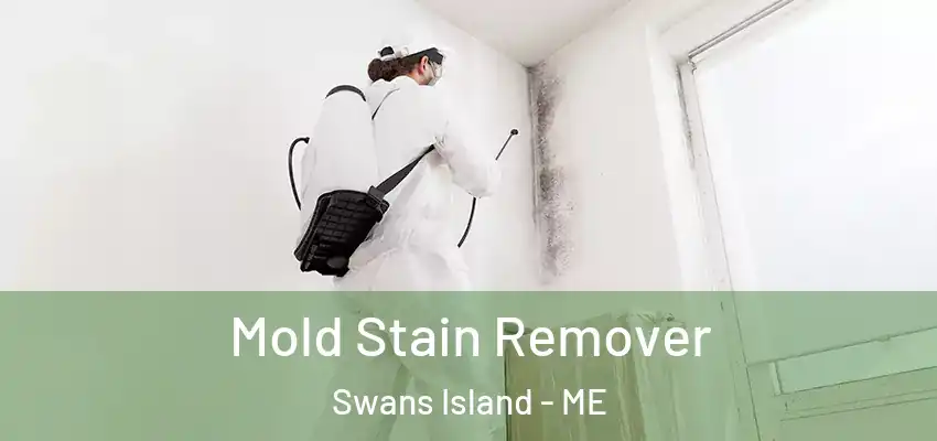  Mold Stain Remover Swans Island - ME
