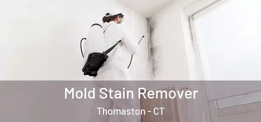  Mold Stain Remover Thomaston - CT