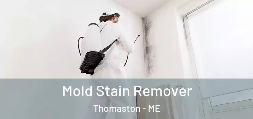 Mold Stain Remover Thomaston - ME