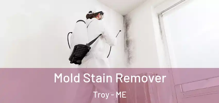 Mold Stain Remover Troy - ME